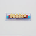 Tablilla de Dientes Ecodent Anteriores Superiores 93 66