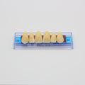 Tablilla de Dientes Ecodent Anteriores Superiores 00 66