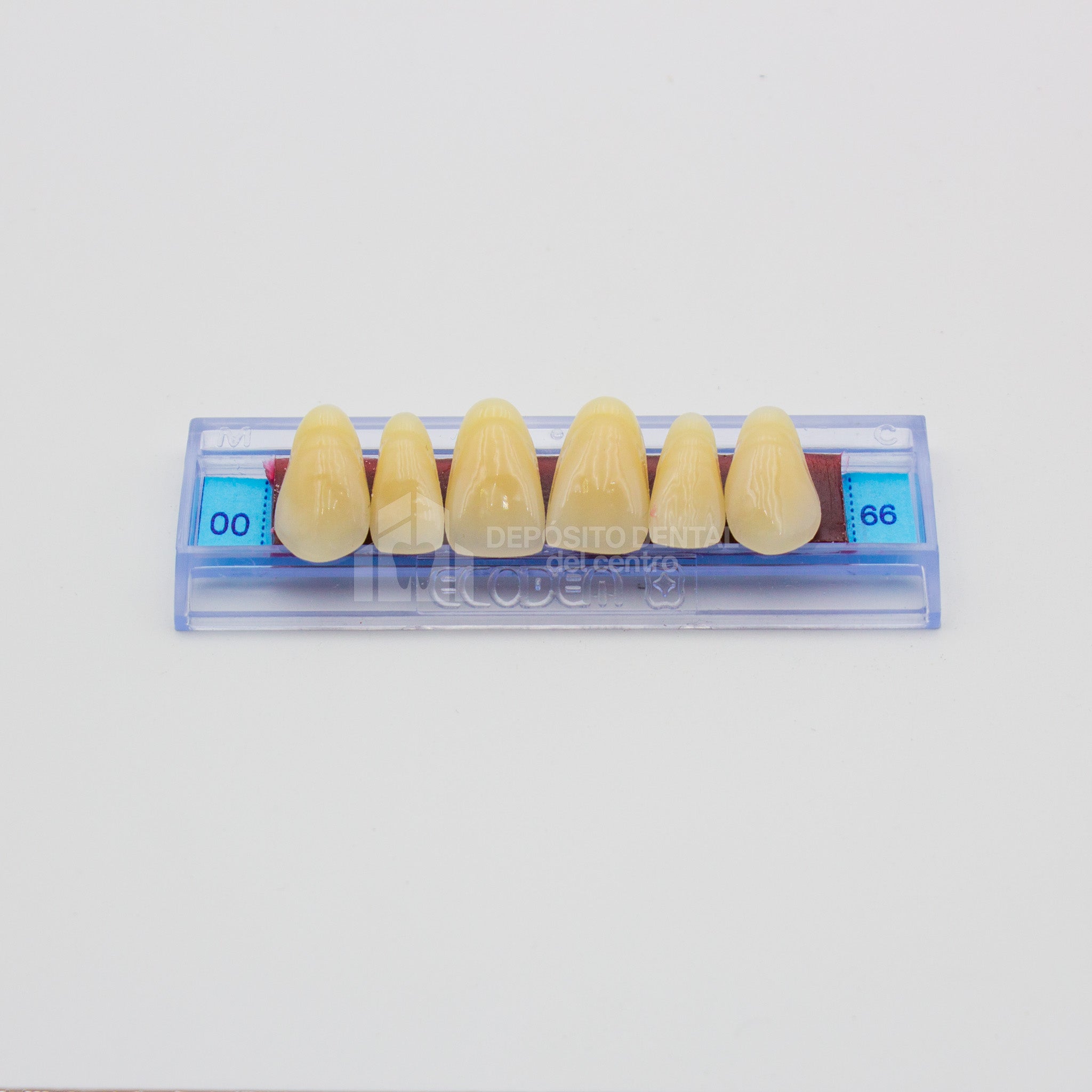 Tablilla de Dientes Ecodent Anteriores Superiores 00 66