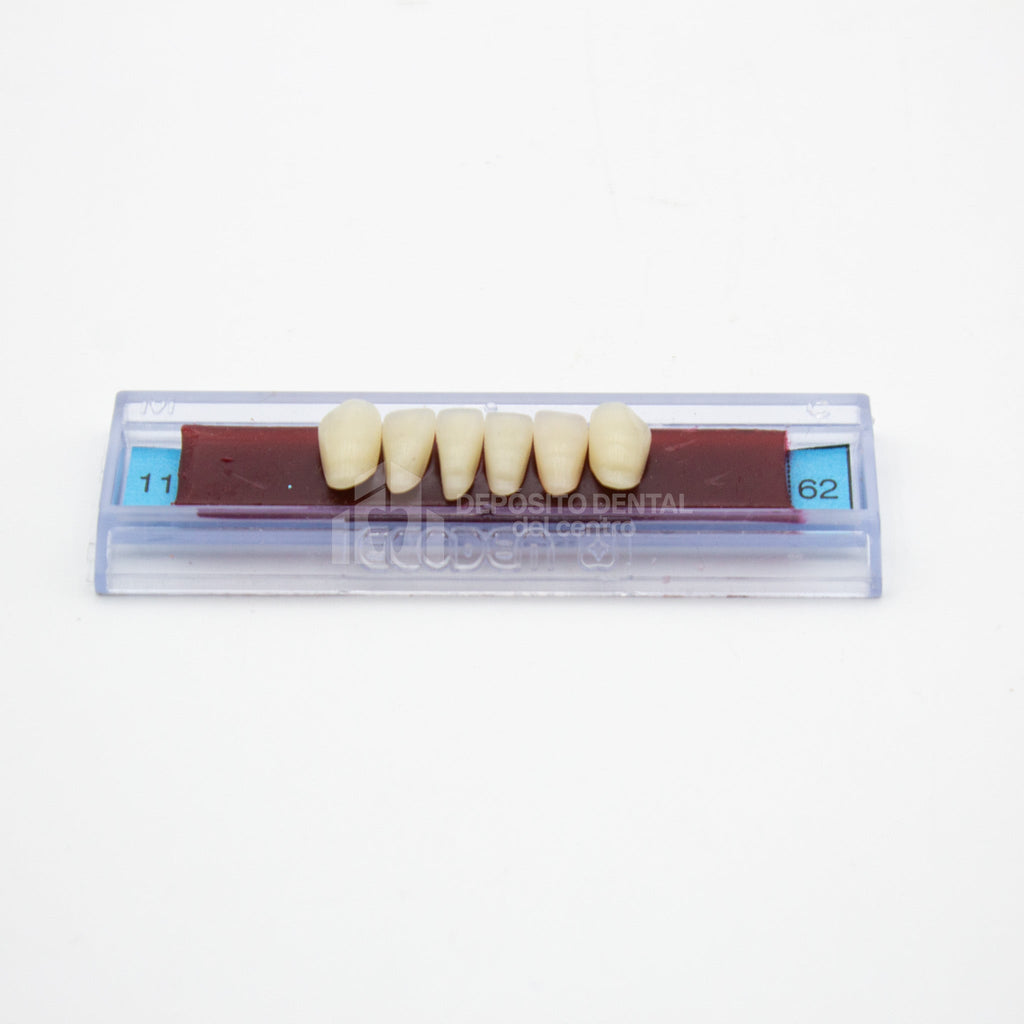 Tablilla de Dientes Ecodent Anteriores Inferiores 11 62