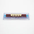 Tablilla de Dientes Ecodent Anteriores Inferiores 11 62
