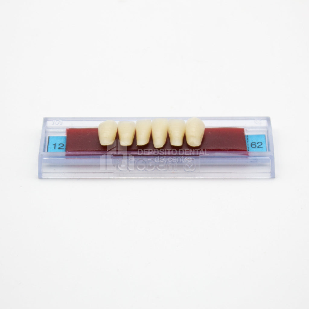 Tablilla de Dientes Ecodent Anteriores Inferiores 12 62