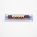 Tablilla de Dientes Ecodent Anteriores Inferiores 12 62