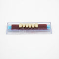 Tablilla de Dientes Ecodent Anteriores Inferiores 13 62