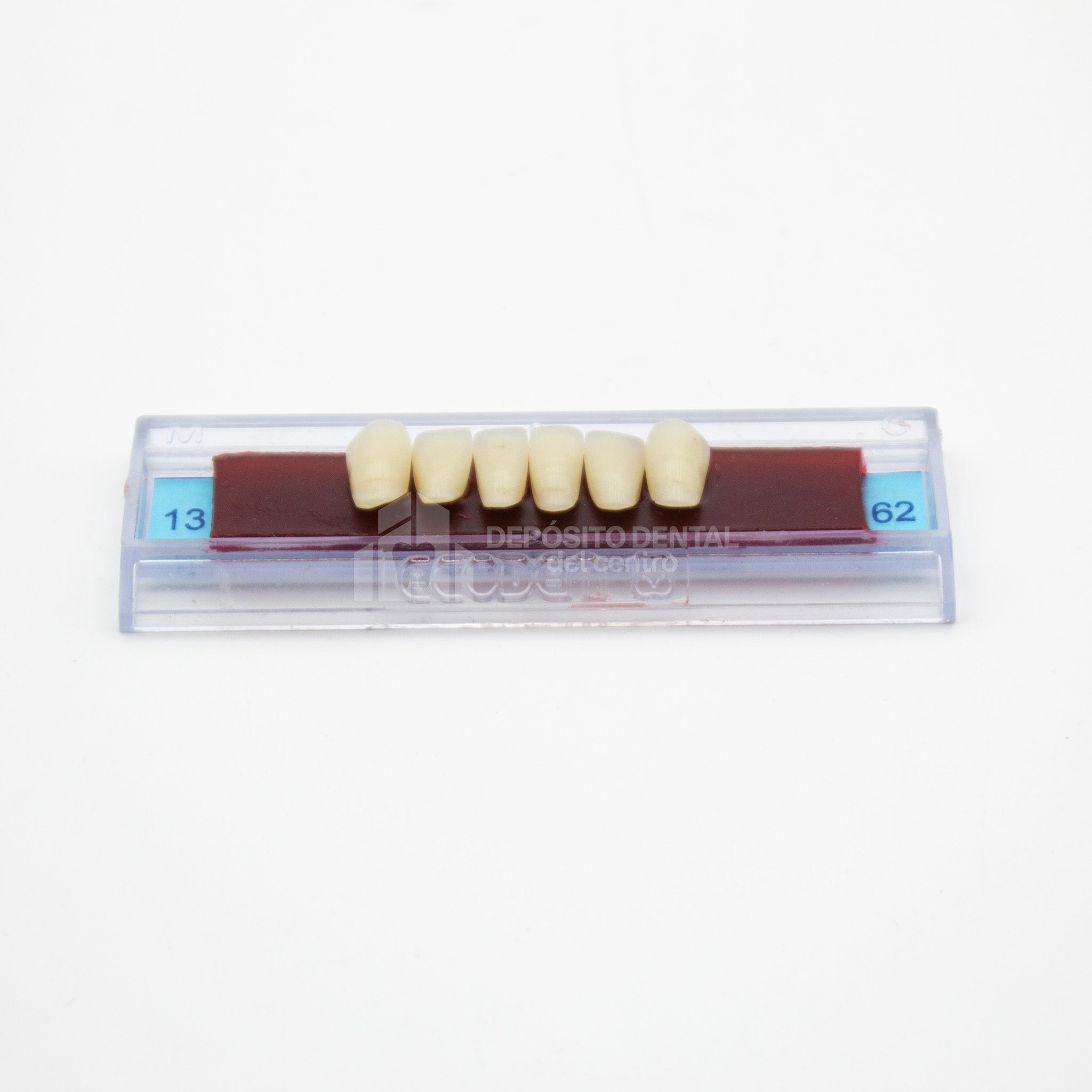 Tablilla de Dientes Ecodent Anteriores Inferiores 13 62
