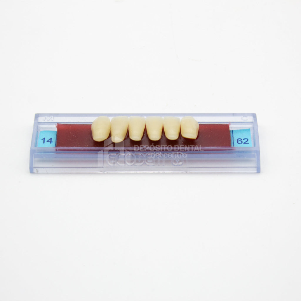 Tablilla de Dientes Ecodent Anteriores Inferiores 14 62