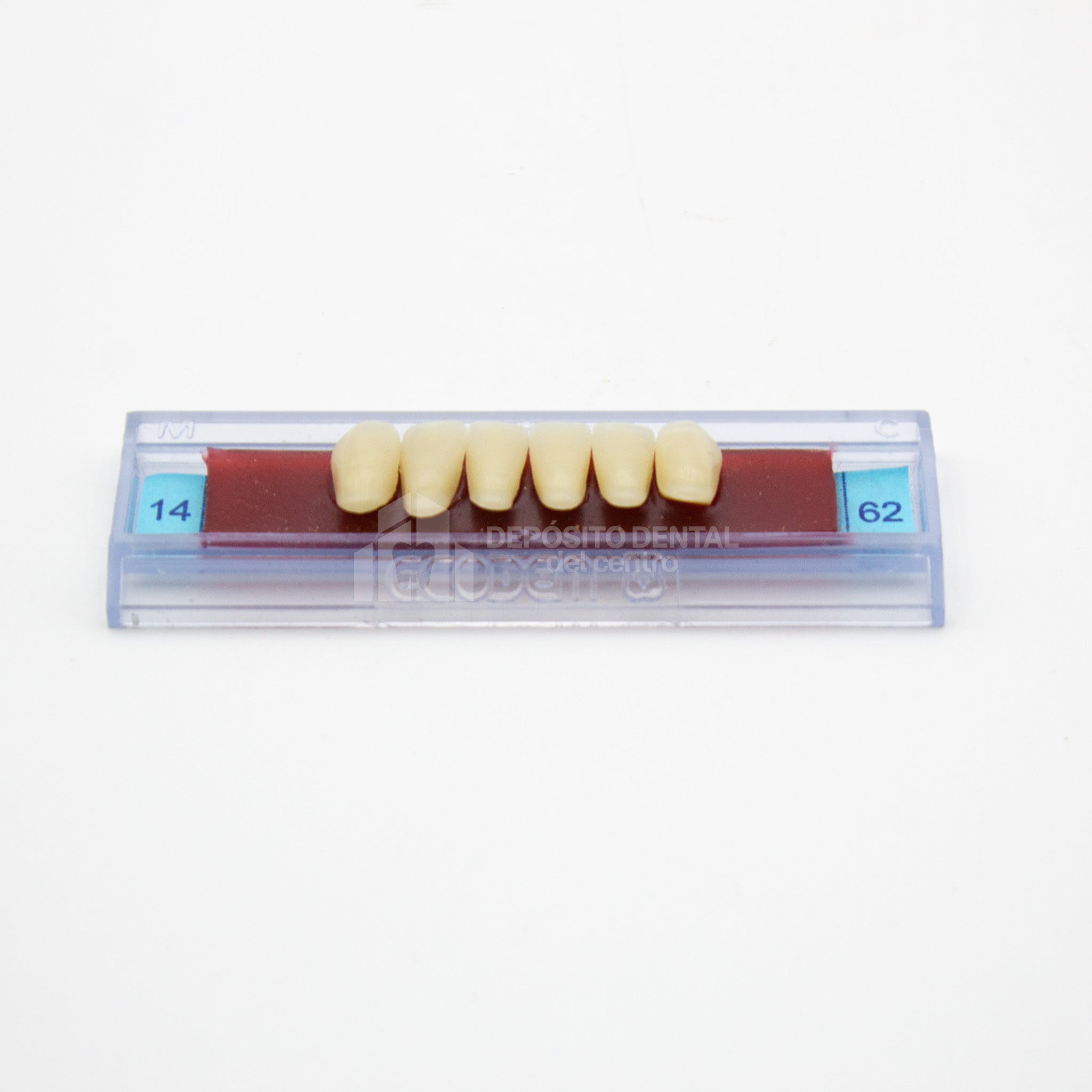 Tablilla de Dientes Ecodent Anteriores Inferiores 14 62