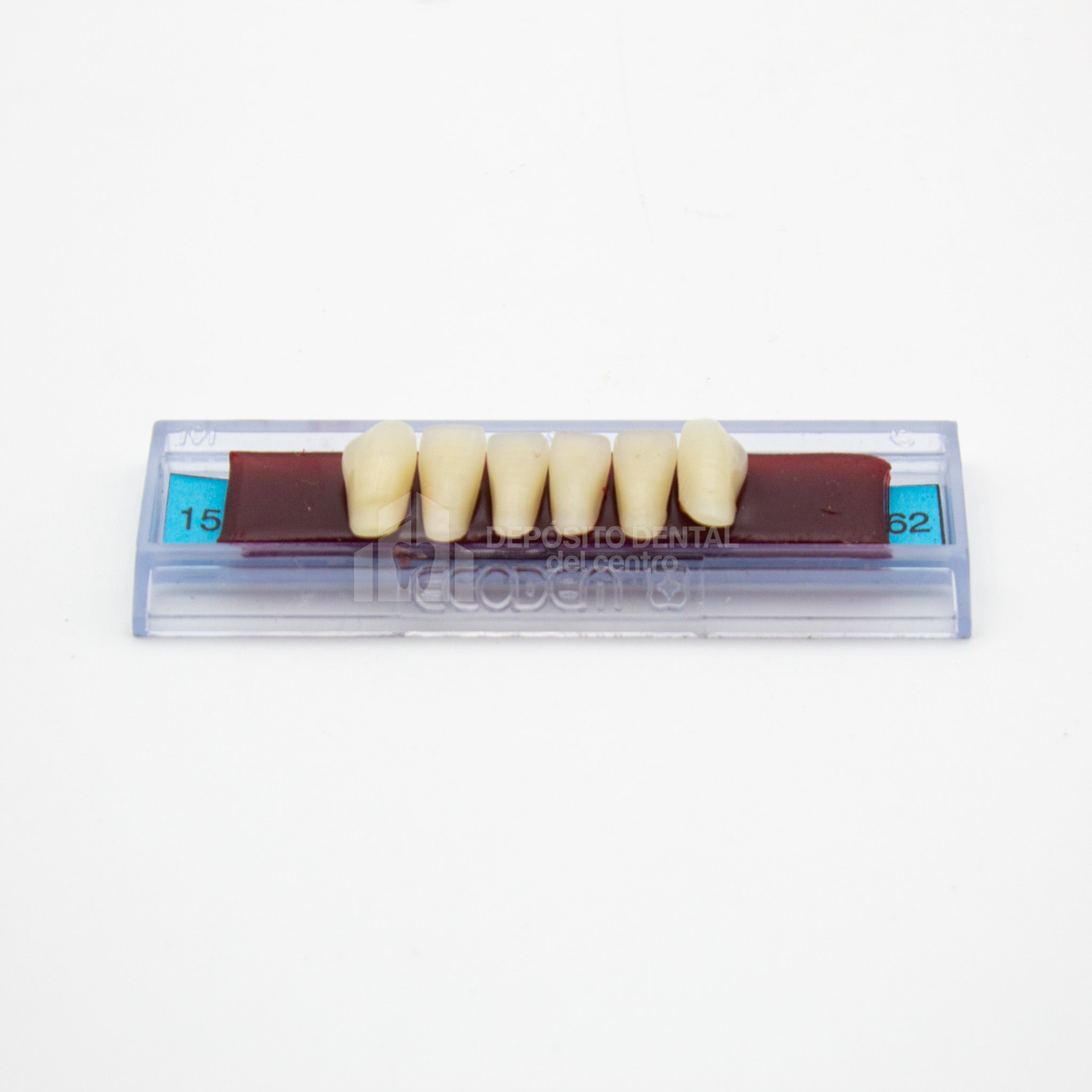 Tablilla de Dientes Ecodent Anteriores Inferiores 15 62