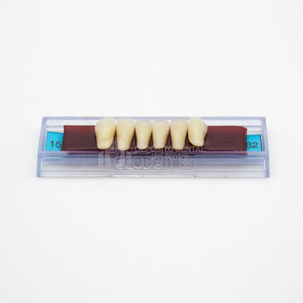 Tablilla de Dientes Ecodent Anteriores Inferiores 15 62
