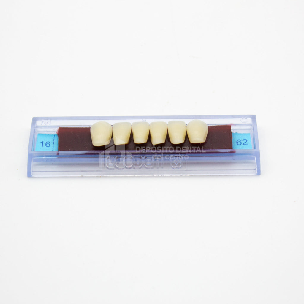 Tablilla de Dientes Ecodent Anteriores Inferiores 16 62