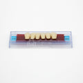 Tablilla de Dientes Ecodent Anteriores Inferiores 17 62
