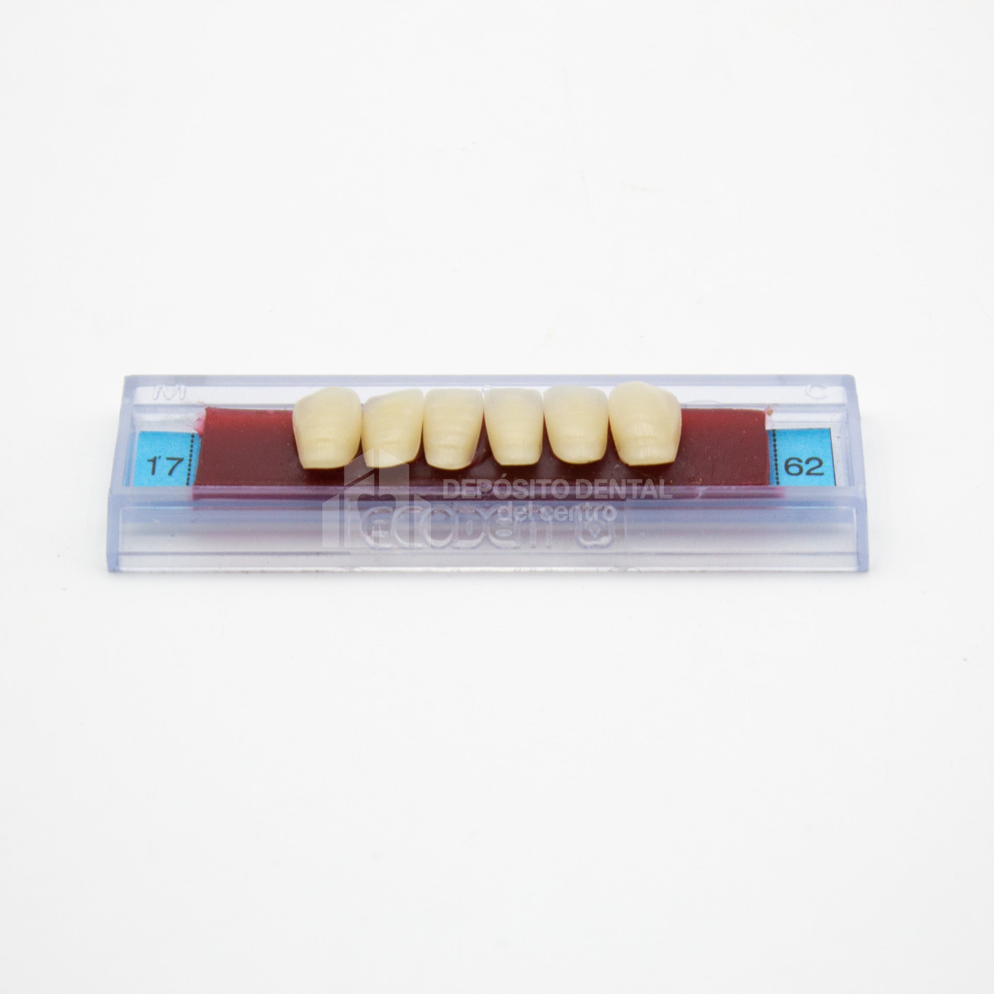Tablilla de Dientes Ecodent Anteriores Inferiores 17 62