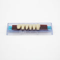 Tablilla de Dientes Ecodent Anteriores Inferiores 18 62