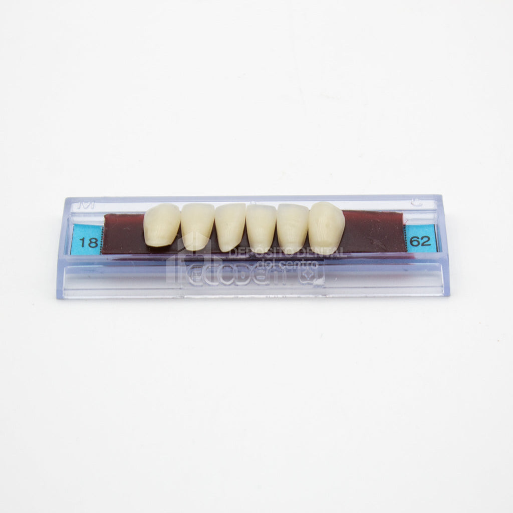 Tablilla de Dientes Ecodent Anteriores Inferiores 18 62