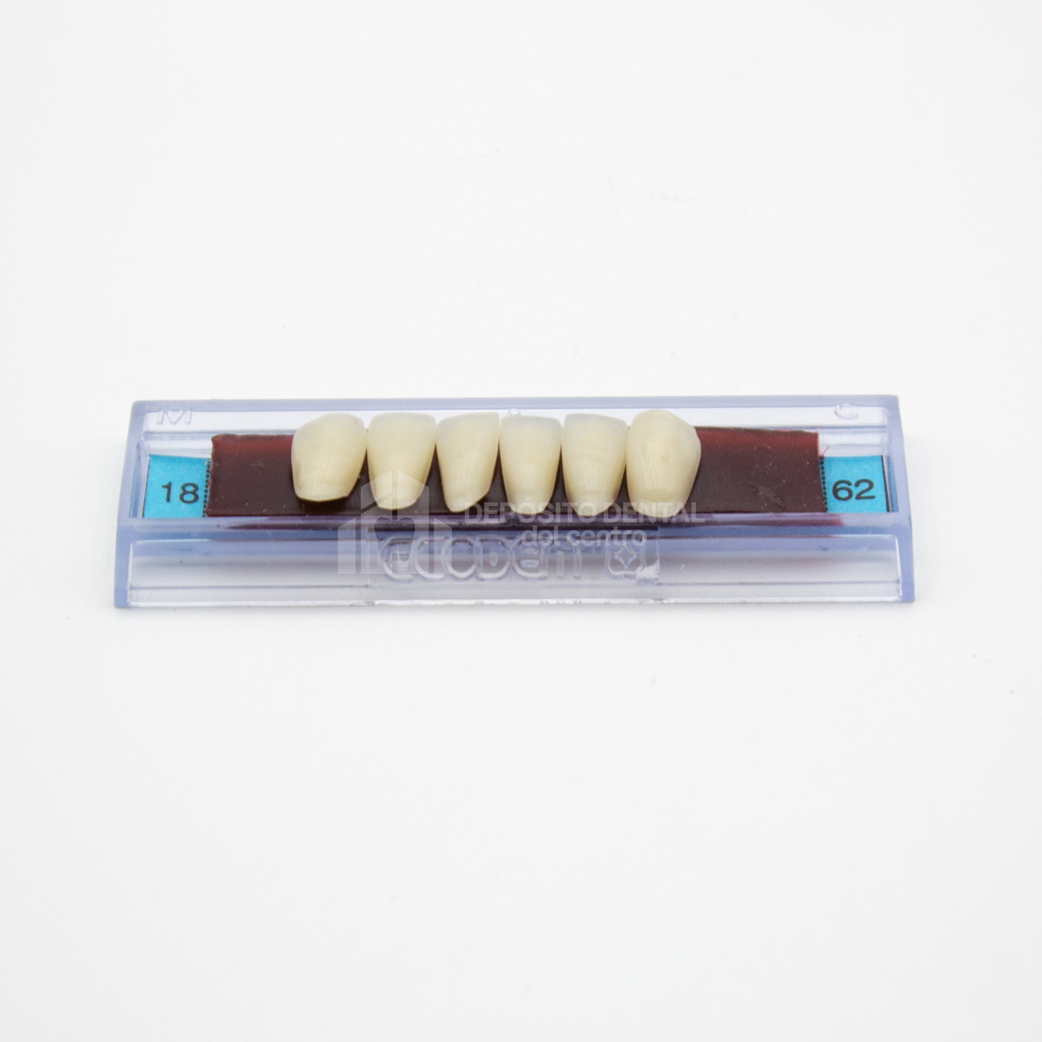 Tablilla de Dientes Ecodent Anteriores Inferiores 18 62