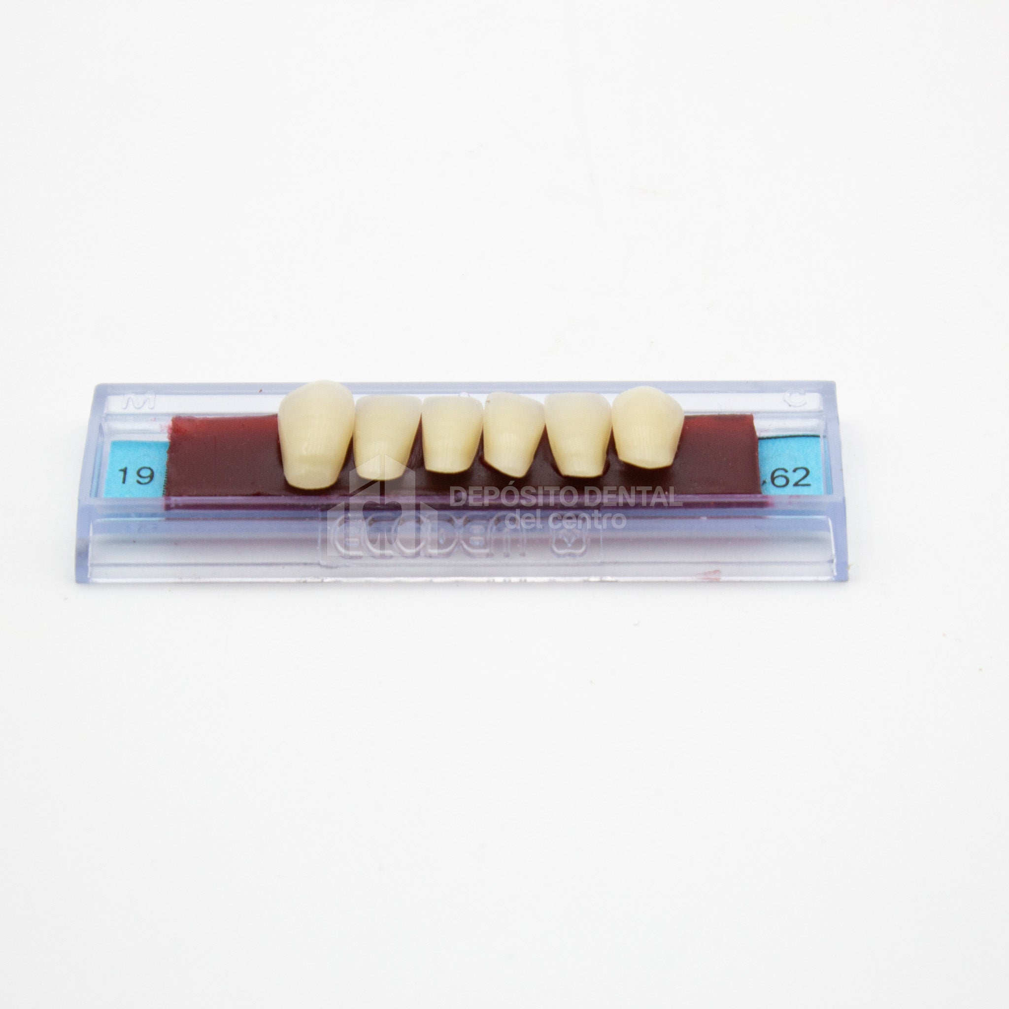 Tablilla de Dientes Ecodent Anteriores Inferiores 19 62