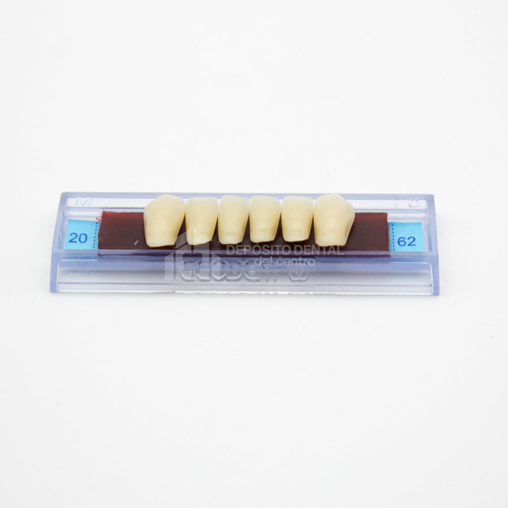 Tablilla de Dientes Ecodent Anteriores Inferiores 20 62