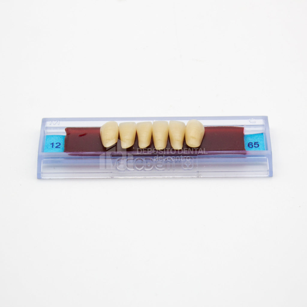 Tablilla de Dientes Ecodent Anteriores Inferiores 12 65