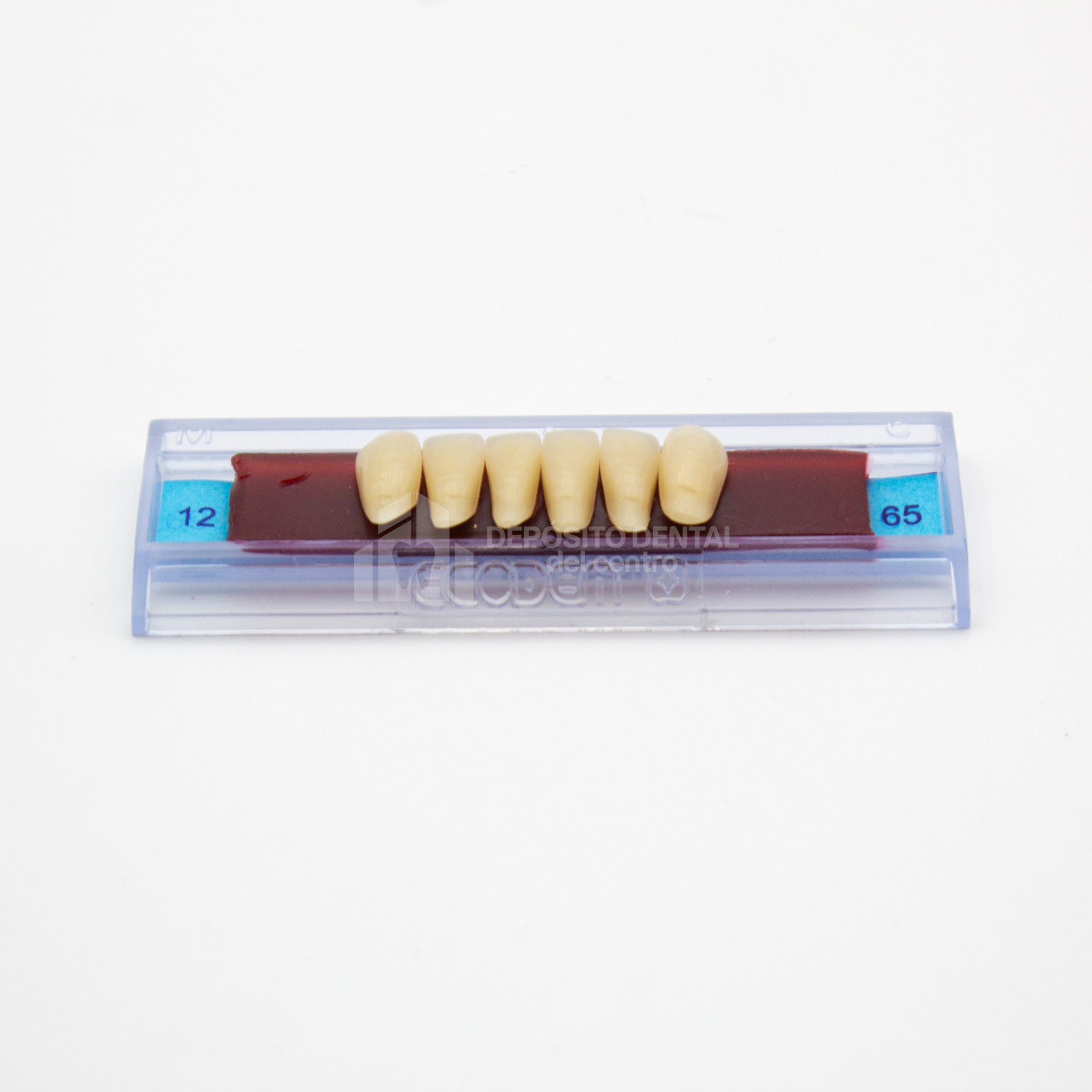 Tablilla de Dientes Ecodent Anteriores Inferiores 12 65