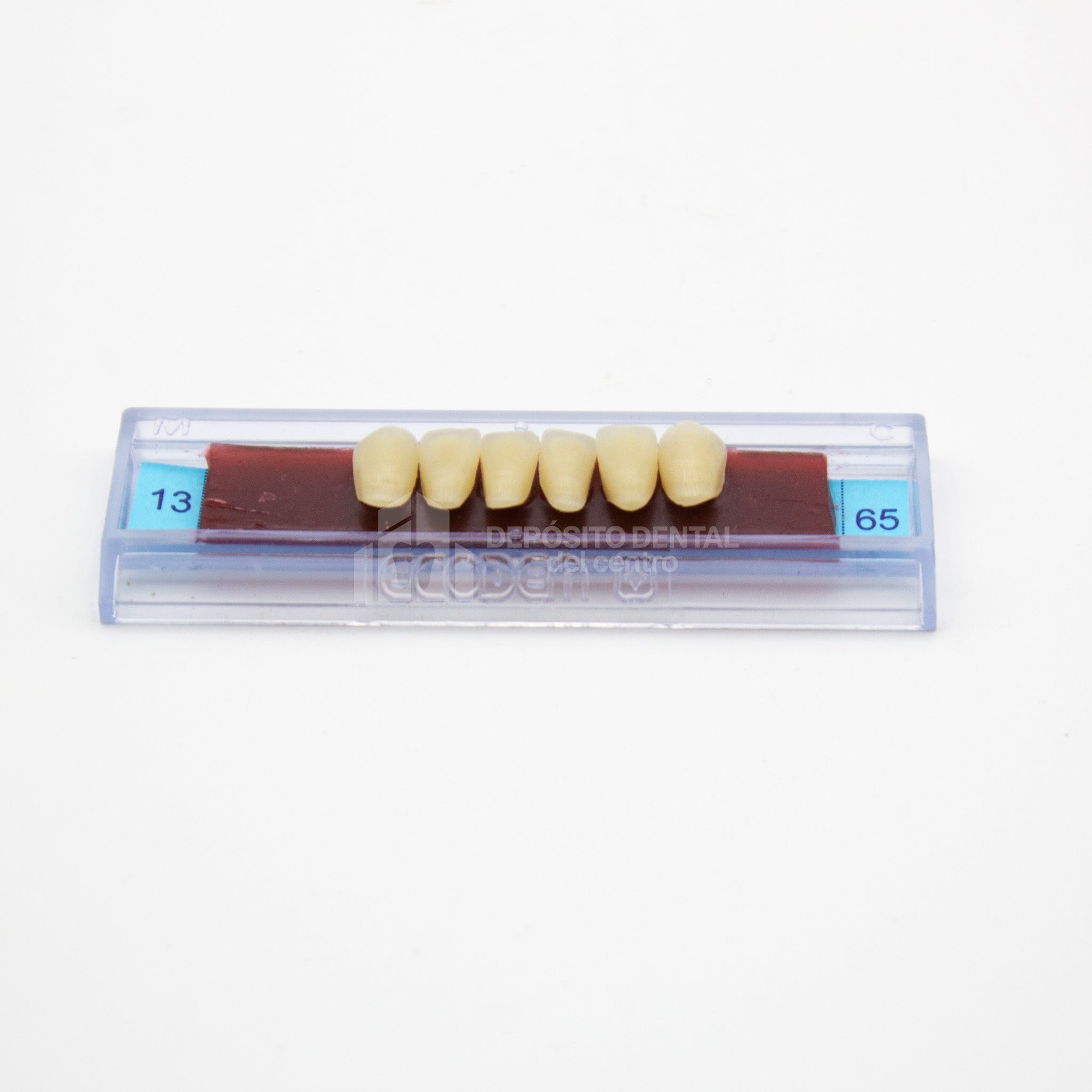Tablilla de Dientes Ecodent Anteriores Inferiores 13 65