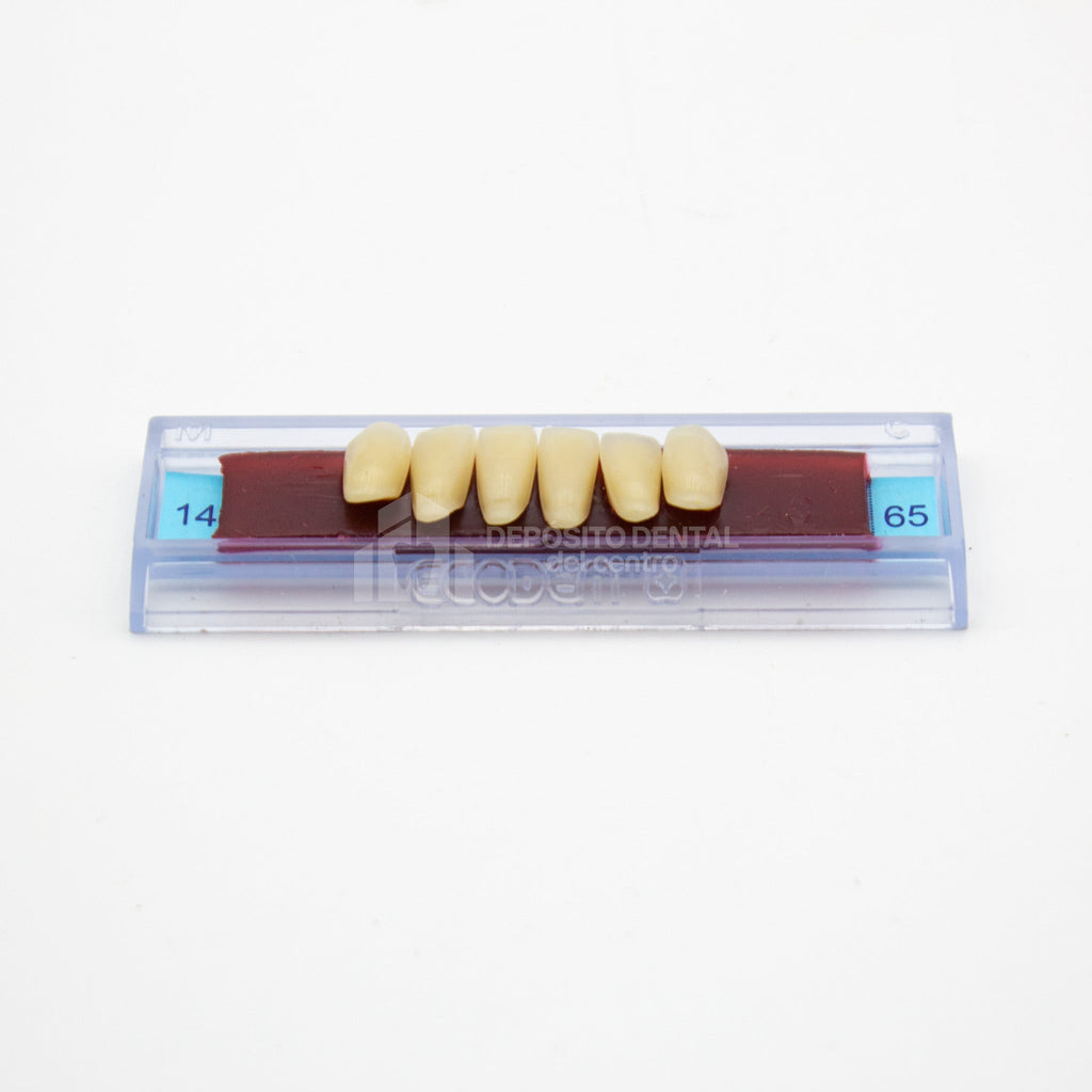 Tablilla de Dientes Ecodent Anteriores Inferiores 14 65