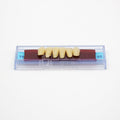 Tablilla de Dientes Ecodent Anteriores Inferiores 14 65