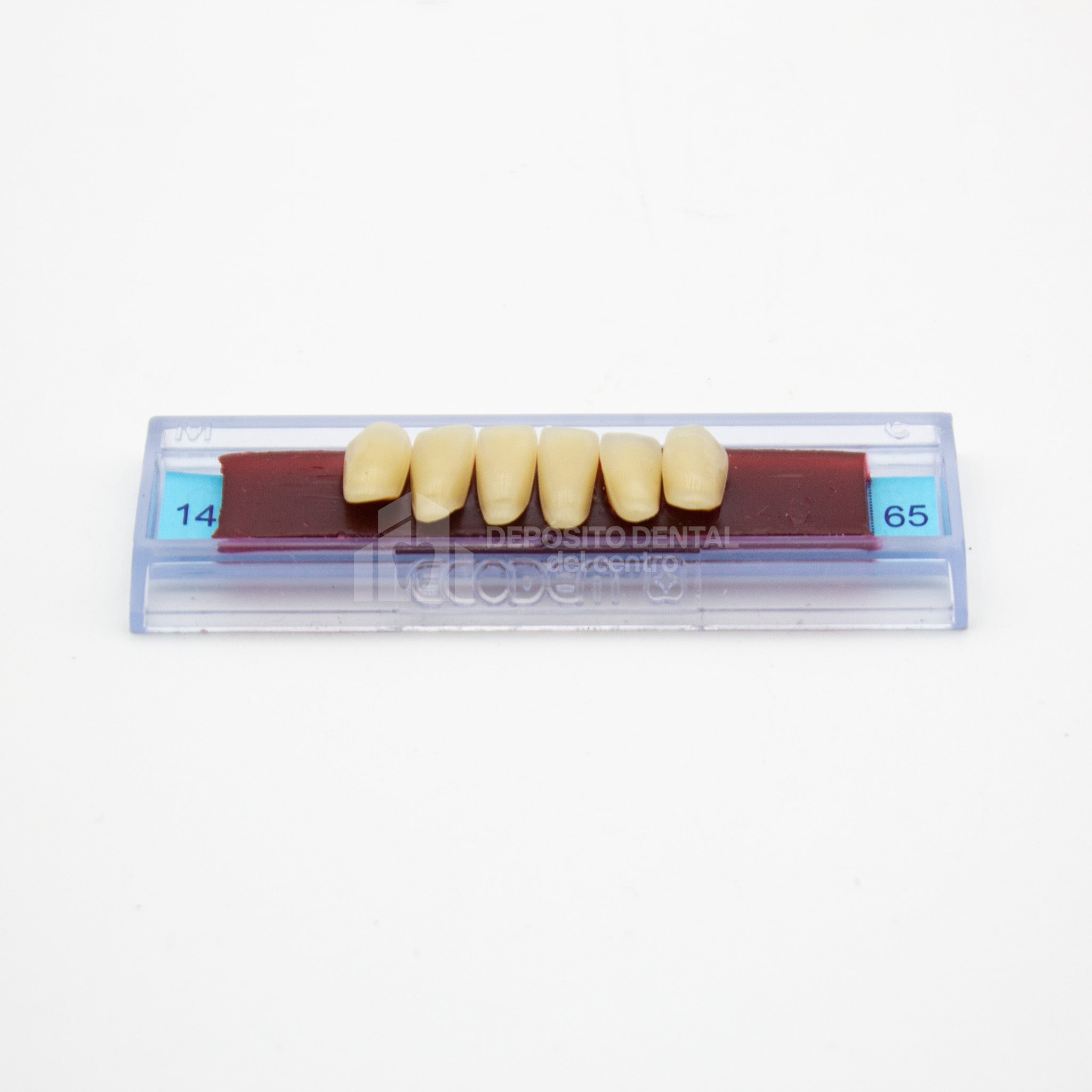 Tablilla de Dientes Ecodent Anteriores Inferiores 14 65