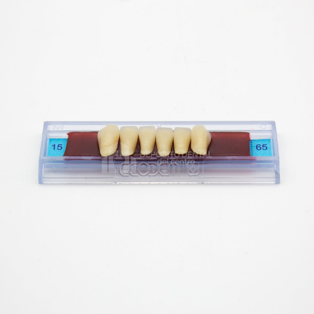 Tablilla de Dientes Ecodent Anteriores Inferiores 15 65