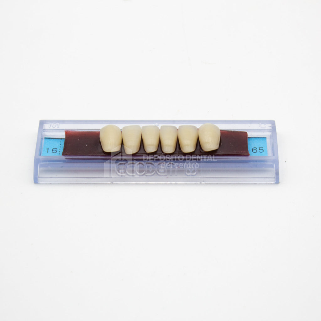 Tablilla de Dientes Ecodent Anteriores Inferiores 16 65