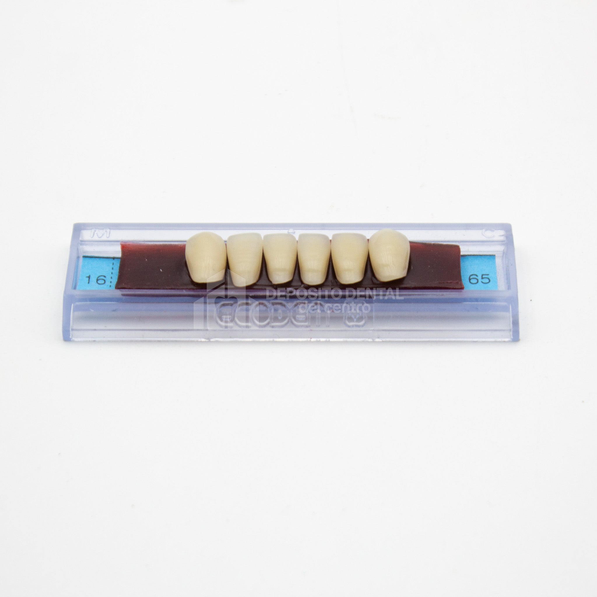Tablilla de Dientes Ecodent Anteriores Inferiores 16 65