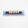 Tablilla de Dientes Ecodent Anteriores Inferiores 16 65