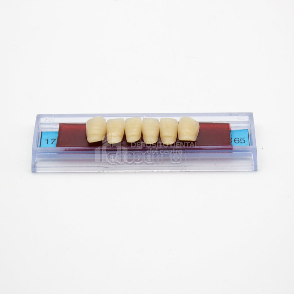 Tablilla de Dientes Ecodent Anteriores Inferiores 17 65