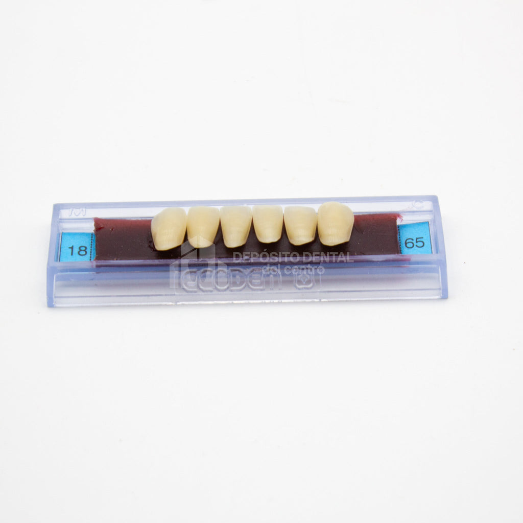 Tablilla de Dientes Ecodent Anteriores Inferiores 18 65