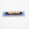 Tablilla de Dientes Ecodent Anteriores Inferiores 18 65