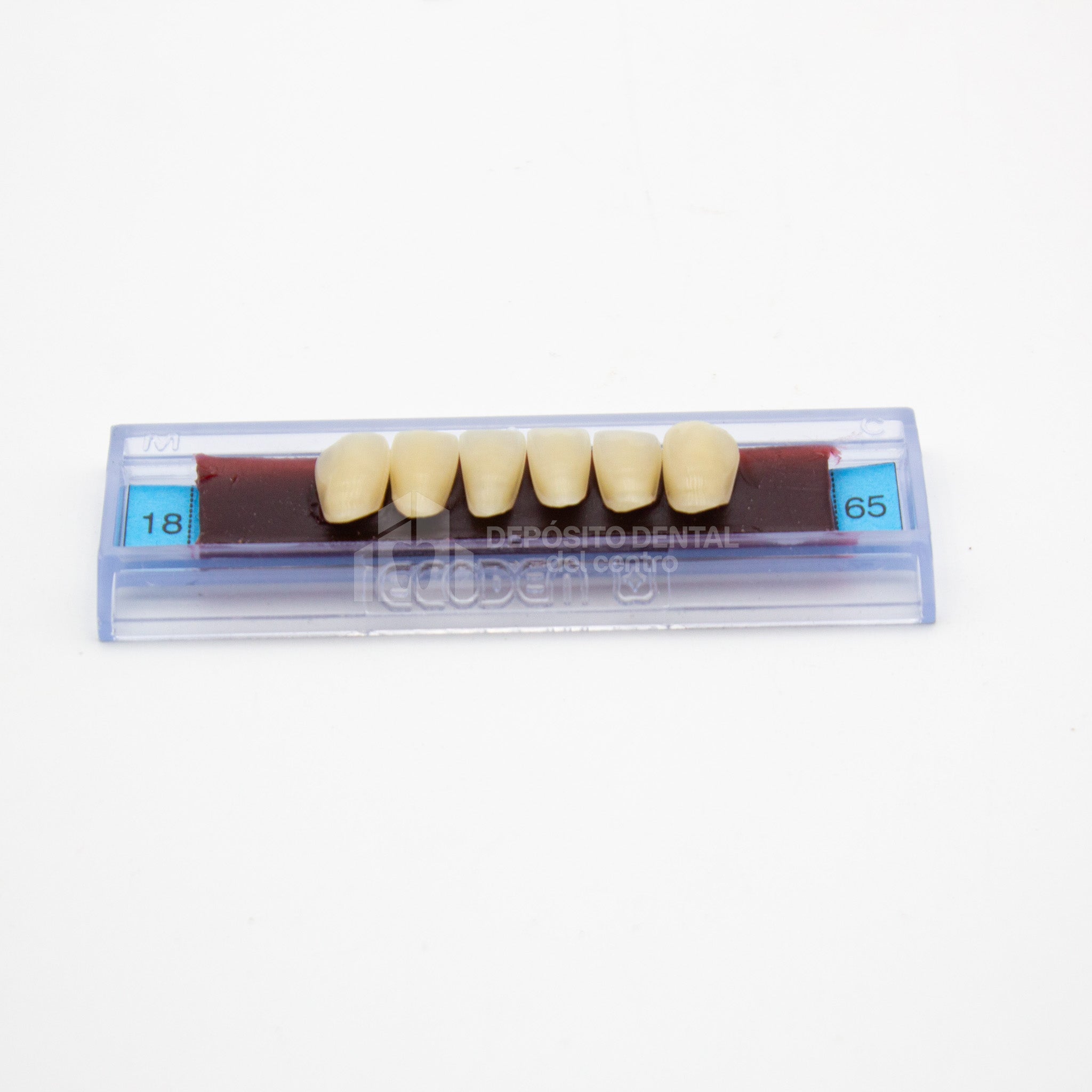 Tablilla de Dientes Ecodent Anteriores Inferiores 18 65