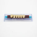 Tablilla de Dientes Ecodent Anteriores Inferiores 19 65