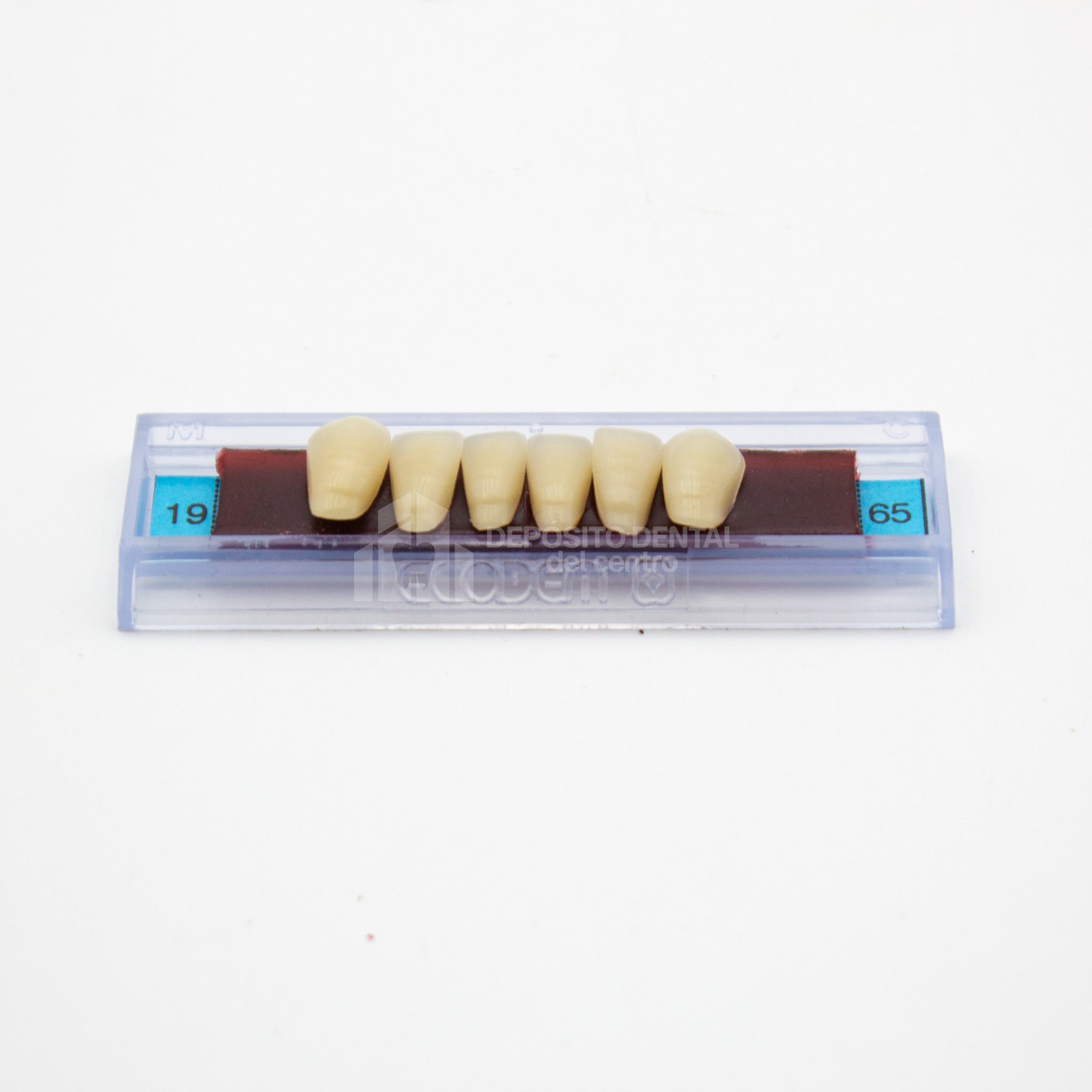 Tablilla de Dientes Ecodent Anteriores Inferiores 19 65
