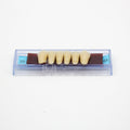 Tablilla de Dientes Ecodent Anteriores Inferiores 20 65