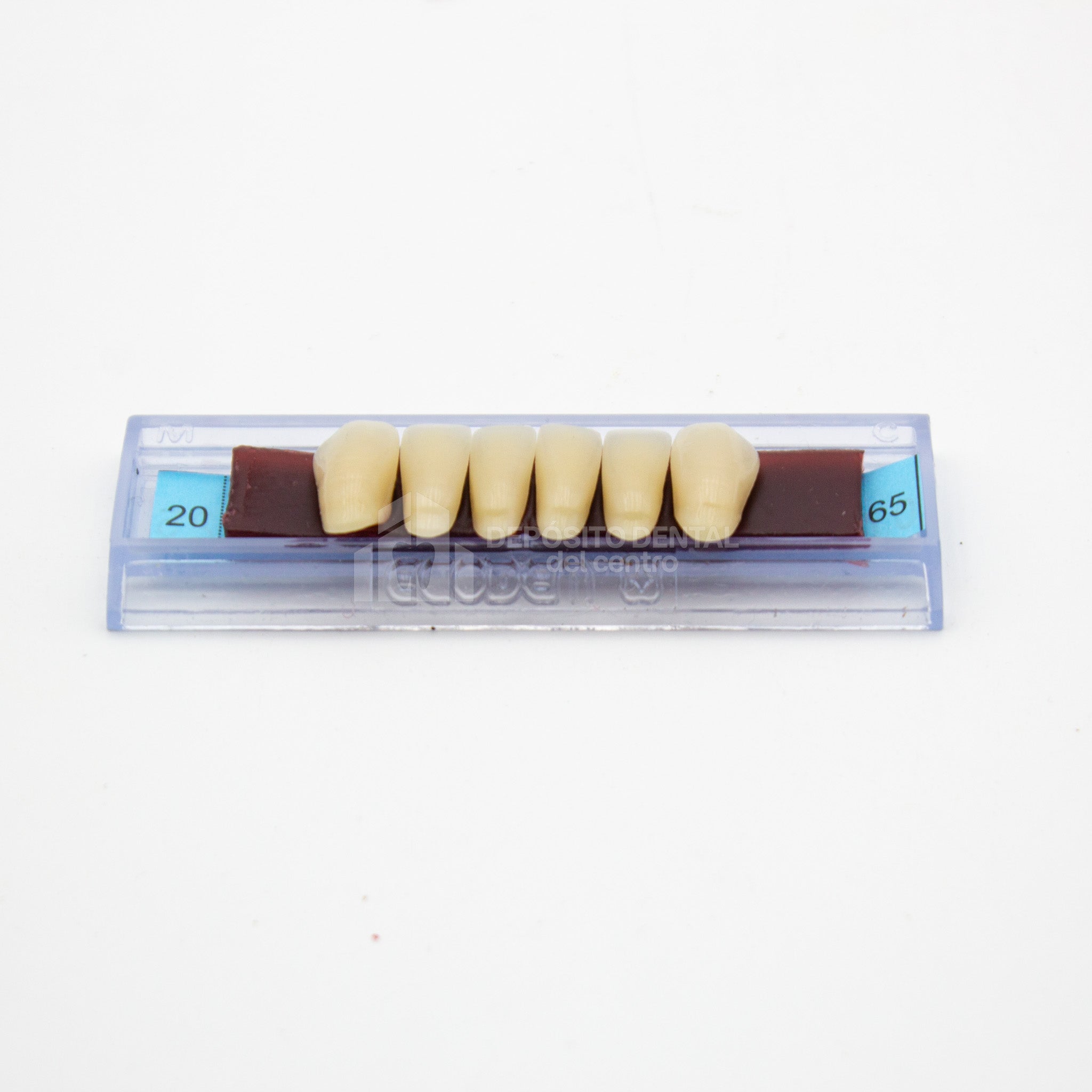 Tablilla de Dientes Ecodent Anteriores Inferiores 20 65