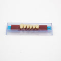 Tablilla de Dientes Ecodent Anteriores Inferiores 11 66