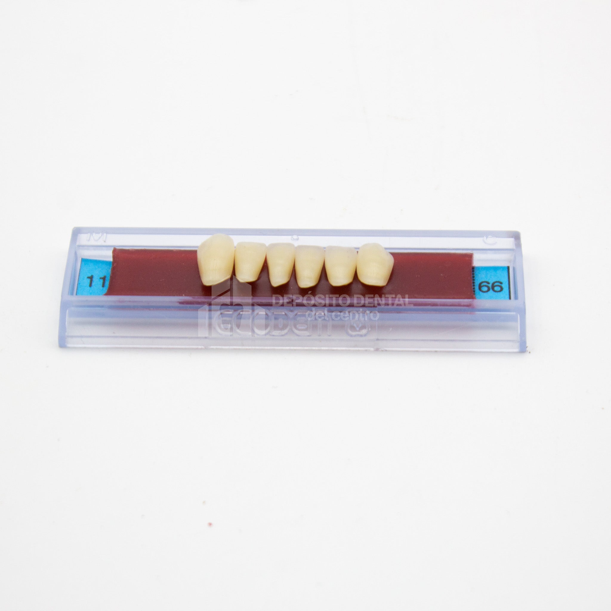 Tablilla de Dientes Ecodent Anteriores Inferiores 11 66