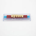 Tablilla de Dientes Ecodent Anteriores Inferiores 12 66