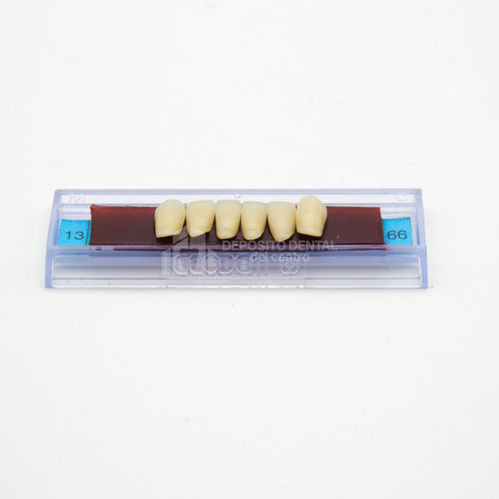 Tablilla de Dientes Ecodent Anteriores Inferiores 13 66