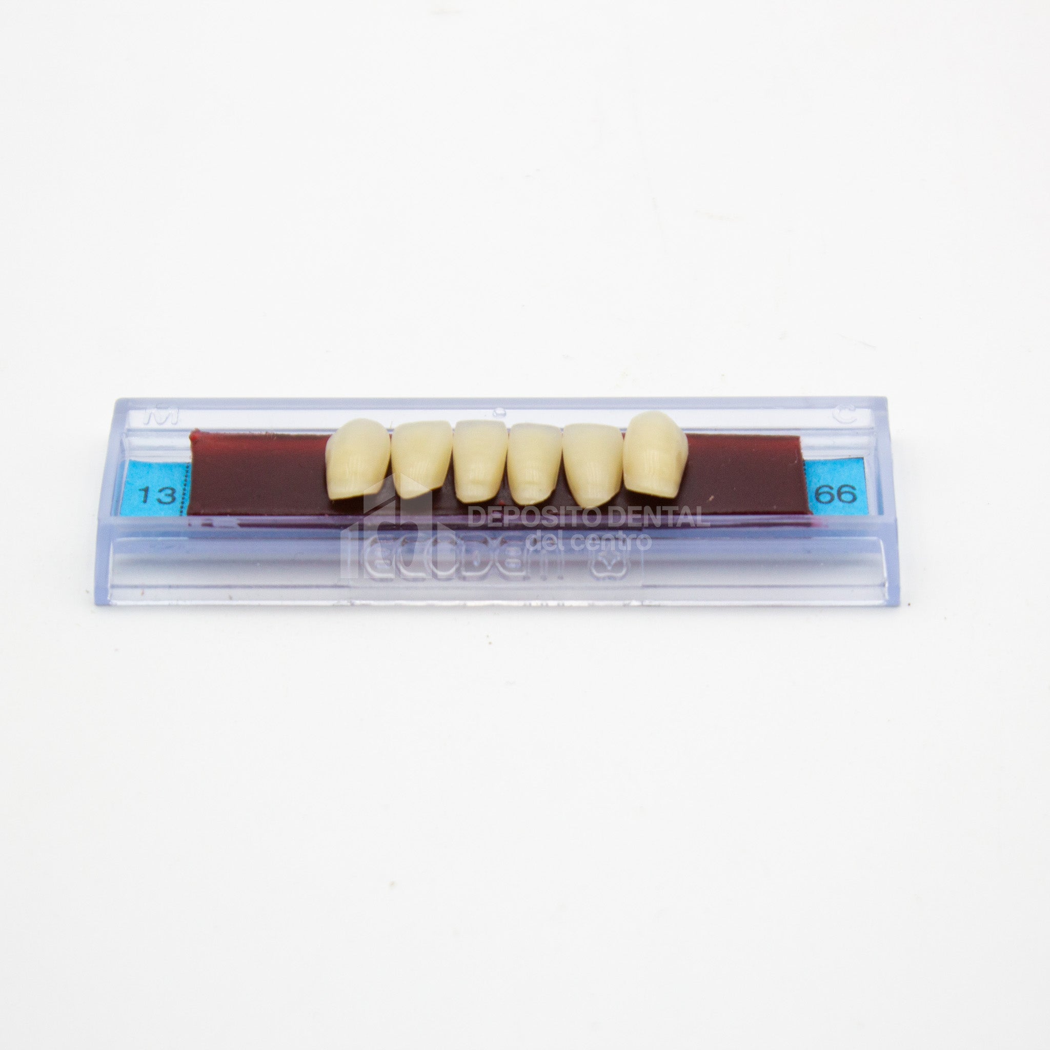 Tablilla de Dientes Ecodent Anteriores Inferiores 13 66
