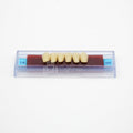Tablilla de Dientes Ecodent Anteriores Inferiores 14 66