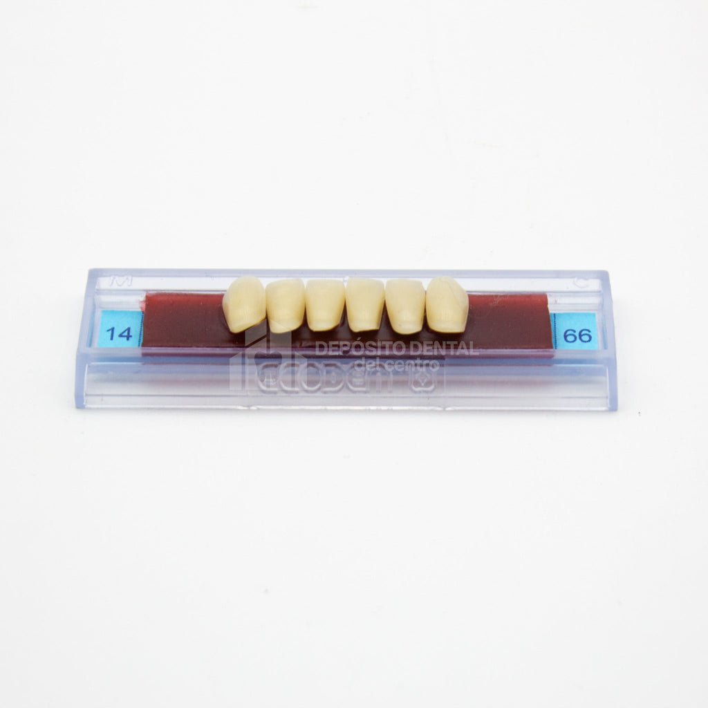 Tablilla de Dientes Ecodent Anteriores Inferiores 14 66