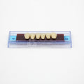 Tablilla de Dientes Ecodent Anteriores Inferiores 18 66