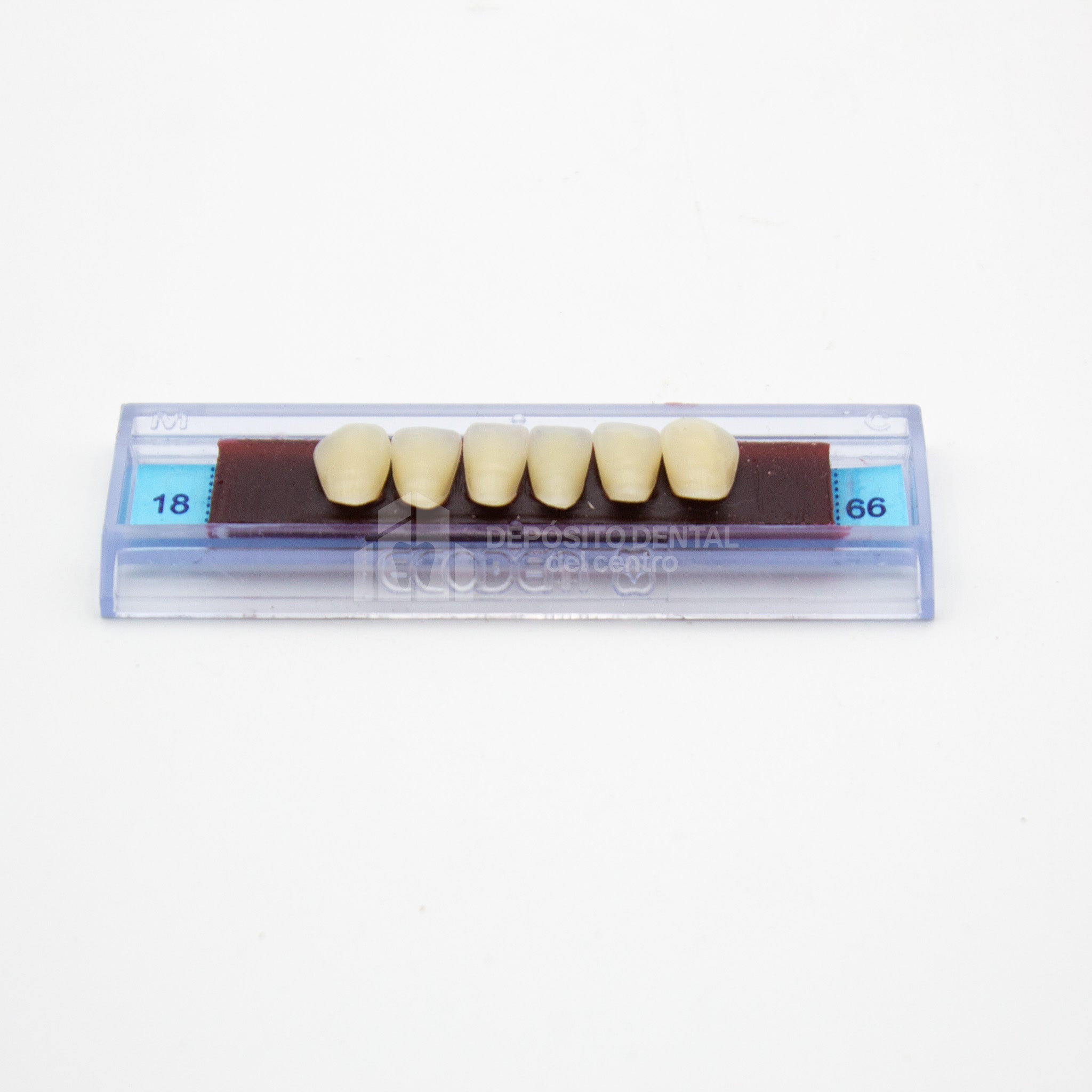 Tablilla de Dientes Ecodent Anteriores Inferiores 18 66