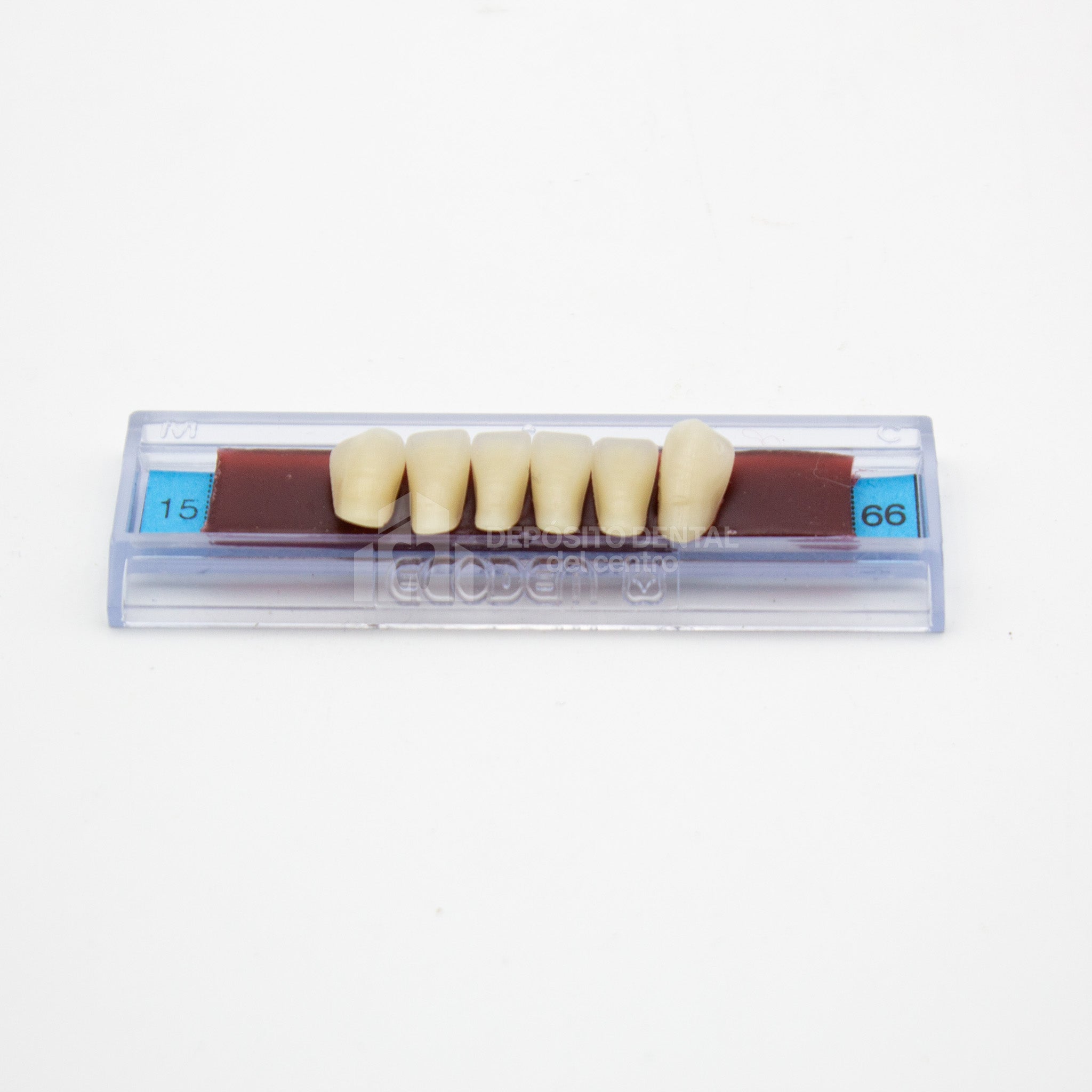 Tablilla de Dientes Ecodent Anteriores Inferiores 15 66