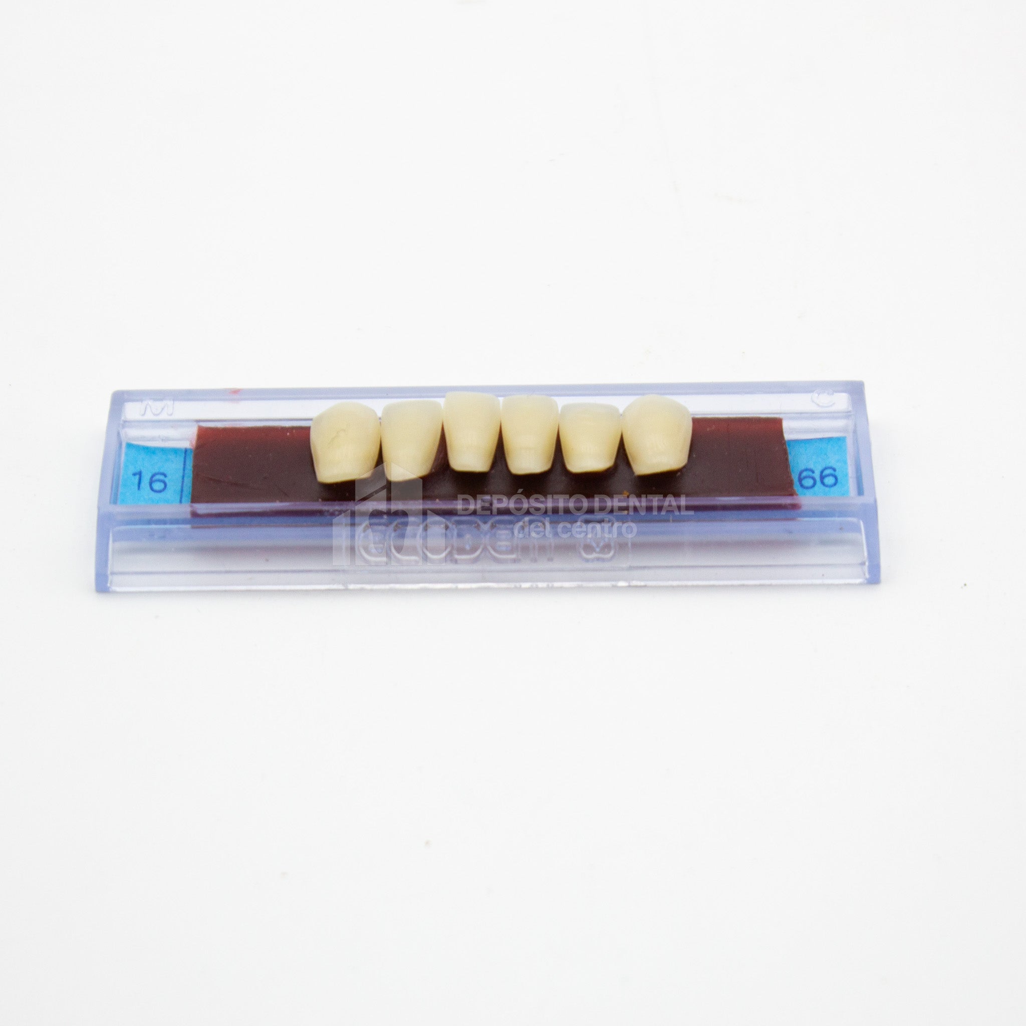 Tablilla de Dientes Ecodent Anteriores Inferiores 16 66